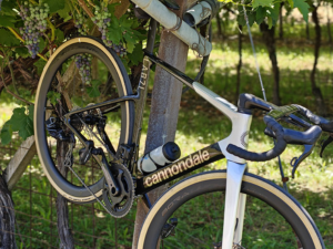 Zomer CycleSoftware